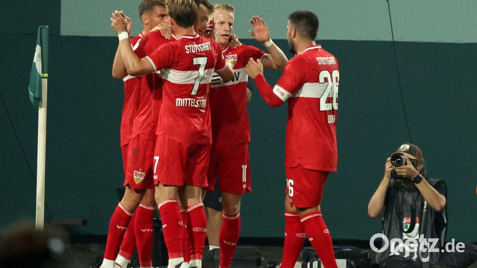 Stuttgarter Jubel in Rostock. Bild: Bernd Wüstneck/dpa