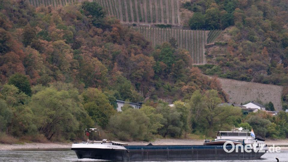 Dank Regens in Süddeutschland steigen die Rheinpegel wieder langsam, sind aber von Durchschnittswerten weit entfernt. Bild: Lea Winkler/dpa