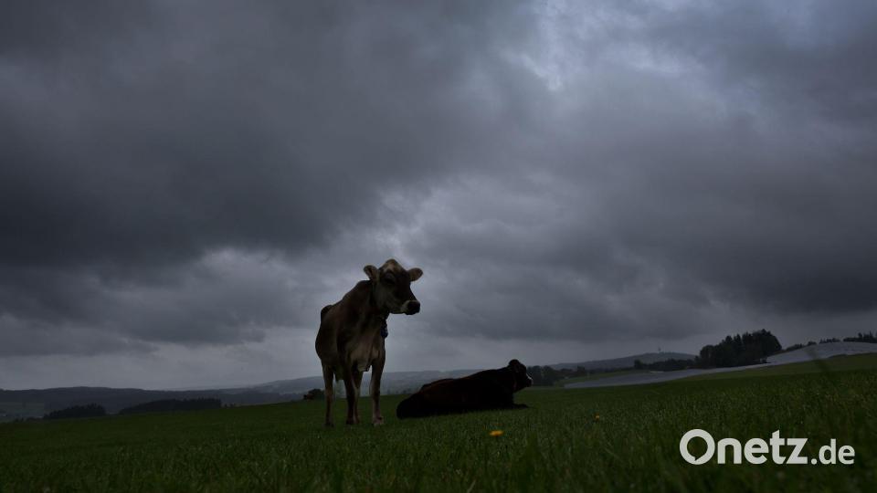 Lange hat Bayern auf Dauerregen gewartet. Bild: Karl-Josef Hildenbrand/dpa