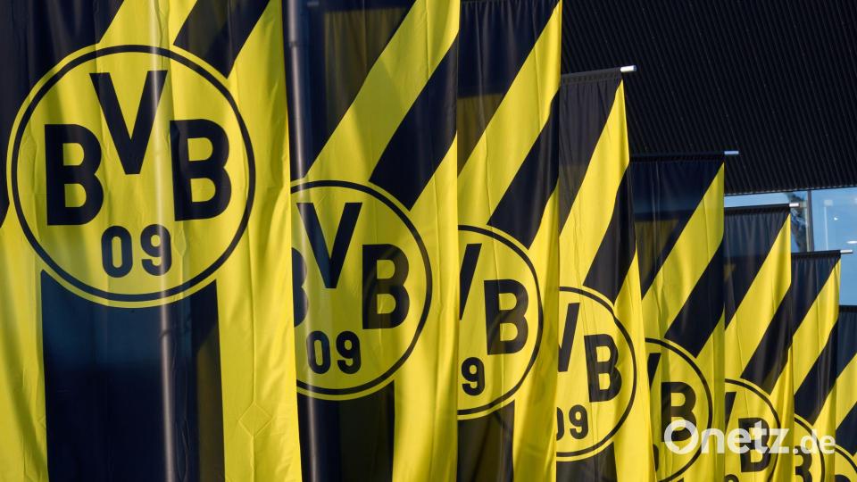 Schwarz-gelbe Fahnen, so weit das Auge reicht: Im laufenden Geschäftsjahr rechnet das BVB-Management mit einer schwarzen Null oder einem Gewinn von bis zu zehn Millionen Euro. Bild: Bernd Thissen/dpa