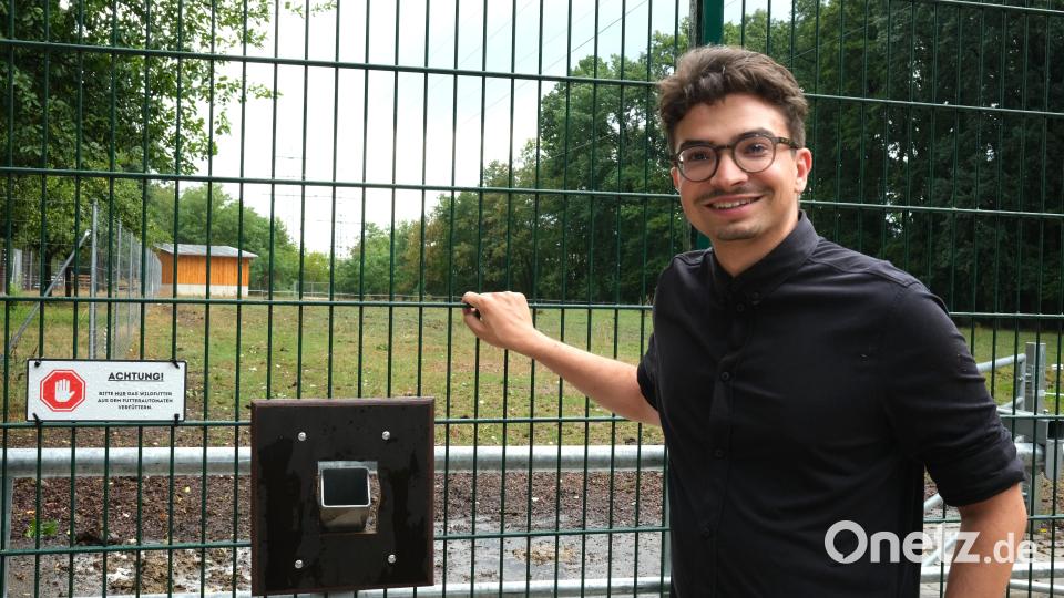 Der neue Höllohe-Beauftragte des Landkreises, Lukas Reichl, steht bei einer Rutsche am Zaun, in die die Besucher Futter hineinwerfen können. Bild: Rudolf Hirsch