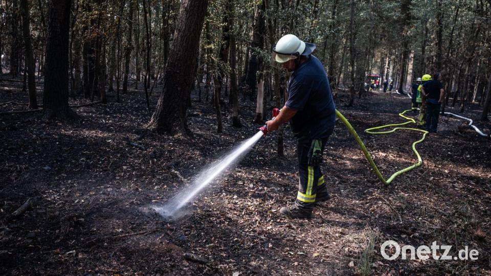 Zuletzt musste die Feuerwehr im Hürtgenwald nur noch Glutnester löschen. (Archivbild) Bild: Christian Knieps/dpa