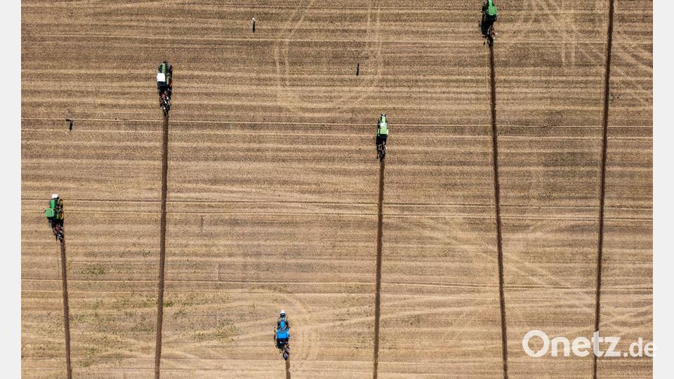 Wettpflügen im schweizerischen Hallau: Die Teilnehmer der Pflüger-EM ziehen ihre Furchen ins Feld. Bild: Christian Beutler/KEYSTONE/dpa