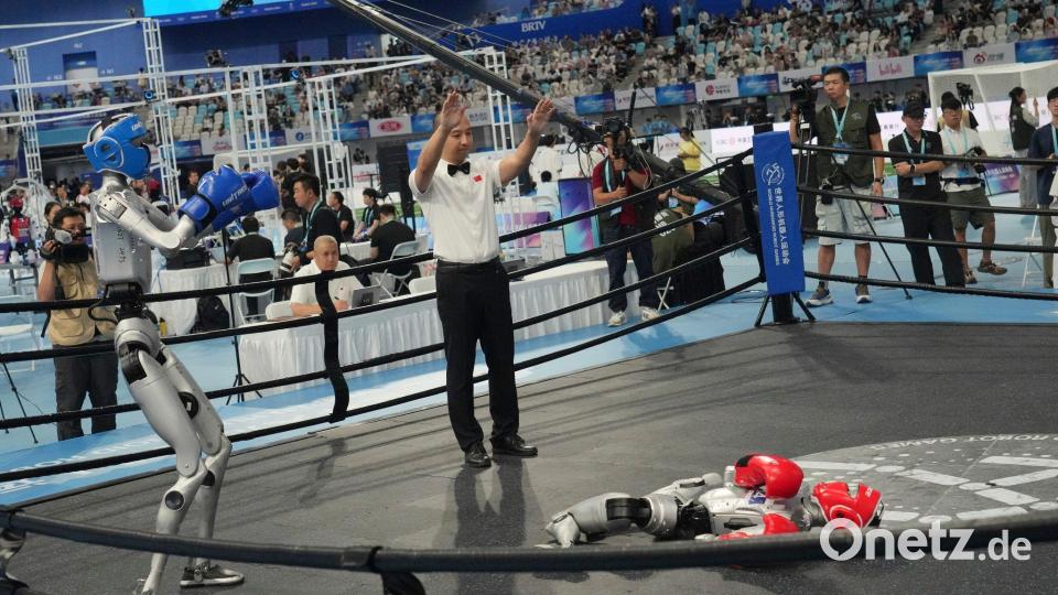 Auch humanoide Roboter können K.O. gehen. Bild: Achmad Ibrahim/AP/dpa