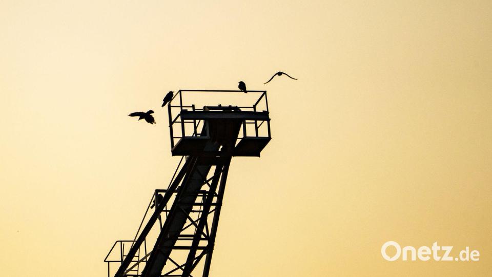 Nach turbulenten Tagen beim Wetter hat sich die Situation beruhigt. Bild: Andreas Arnold/dpa
