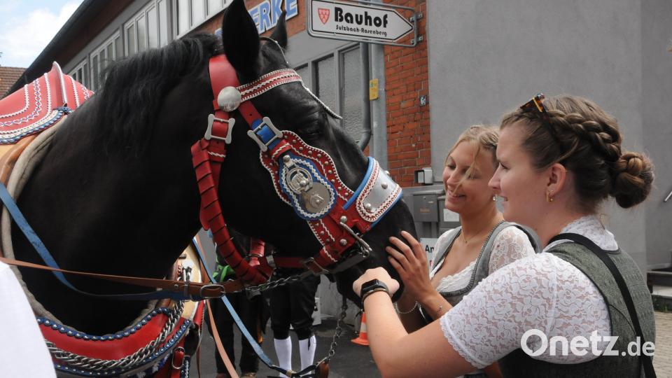 Für den schweren Kaltblüter gab es Streicheleinheiten von den Kirwamoilan. Bild: Joachim Gebhardt