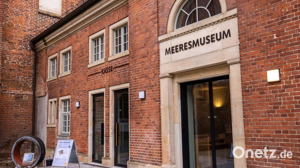 Rund vier Monate nach der Bergung des vor der Ostseeküste geborgenen Buckelwals „Timmy“ sieht sich das Deutsche Meeresmuseum in Stralsund immer noch Anfeindungen ausgesetzt. (Archivbild) Bild: Jens Büttner/dpa