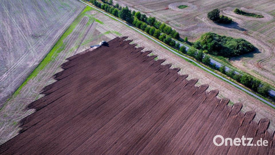 Vorbereitung für die Aussaat: Ein Traktor zieht einen Pflug über ein abgeerntetes Feld. Bild: Jens Büttner/dpa