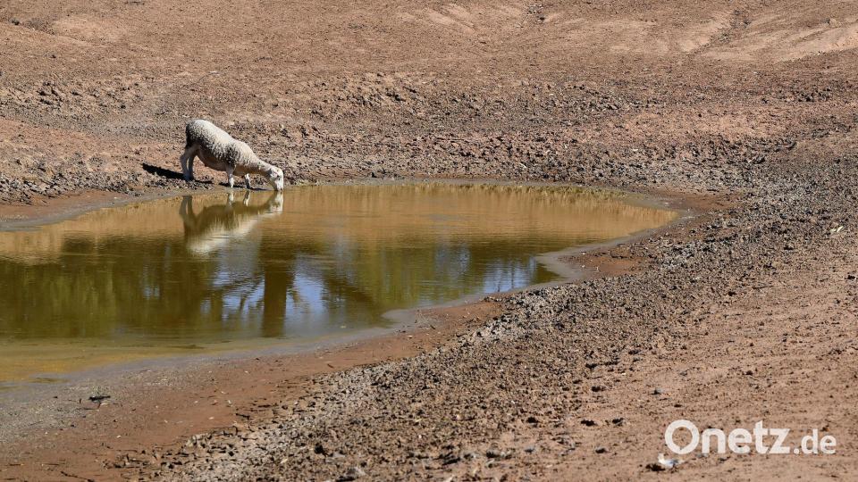 Zusätzlich zum Klimawandel durch menschengemachte Treibhausgase kommt nun das Wetterphänomen El Niño auf die Welt zu. (Symbolbild) Bild: Dean Lewins/AAP/dpa