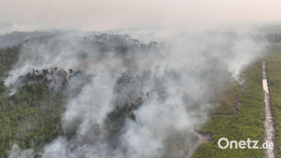 Auf Borneo wüten seit Wochen schwere Waldbrände. Bild: -/BNPB/dpa