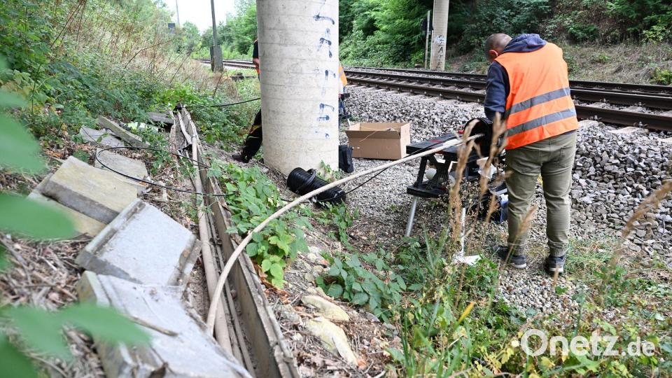 Nach der Instandsetzung fahren die Züge wieder planmäßig. Bild: Bernd Weißbrod/dpa