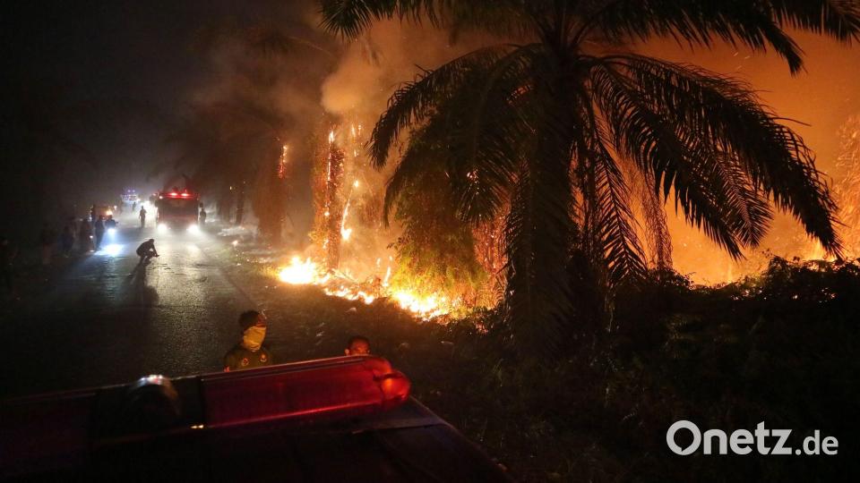 Ein Waldbrand breitet sich in einem Torfmoorgebiet auf Borneo in Indonesien aus. Bild: Andri Rizky Agustian/AP/dpa