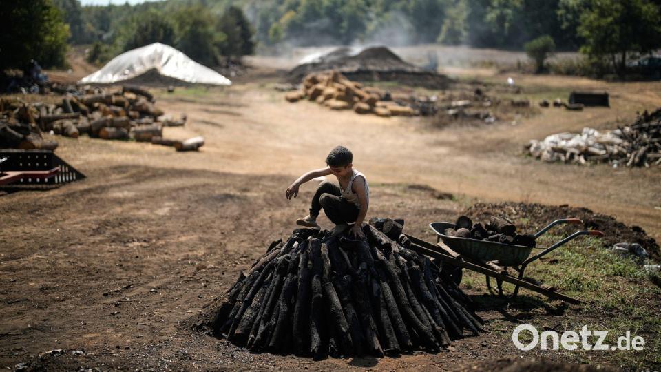 Yakoub Durak stapelt in einer Holzkohleproduktionsstätte in einem Wald in der Provinz Kocaeli Holz zu einem Haufen auf. Bild: Khalil Hamra/AP/dpa