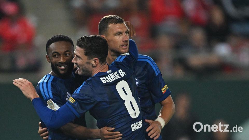 Kann Edin Dzeko (r) Schalke zum Klassenerhalt verhelfen? Bild: Hendrik Schmidt/dpa