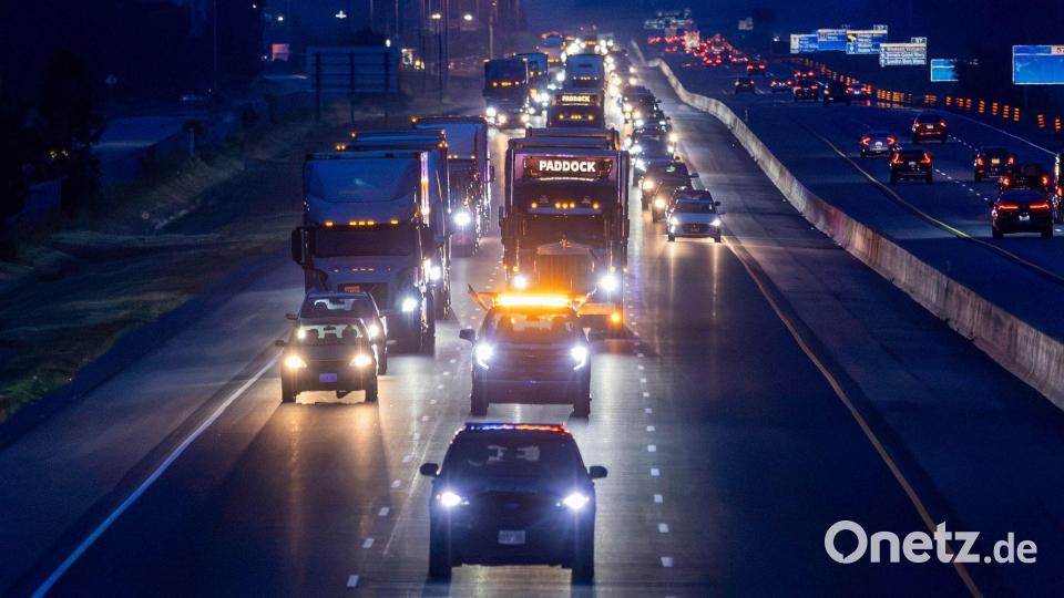 Ein Konvoi aus Lastwagen brachte die Tiere zum Flughafen. Bild: Carlos Osorio/The Canadian Press via AP/dpa