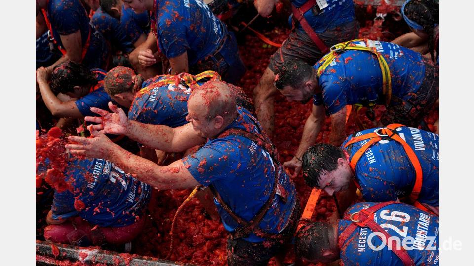 Helfer werfen die überreifen und weichen Tomaten von langsam durch die Innenstadt fahrenden Lastwagen in die Menschenmenge. Danach kippen die Lastwagen den Rest der rund 150 Tonnen roter Früchte ab und die Teilnehmer der „La Tomatina“ stürzen sich darauf, um sich mit neuen Wurfgeschossen zu versorgen. Bild: Alberto Saiz/AP/dpa