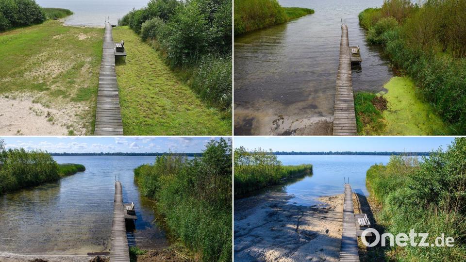 Hier ist eine Badestelle am Ufer des Arendsees in der Altmark zu sehen - im Jahr 2023 (oben links), 2024 (oben rechts), 2025 (unten links) und 2026 (unten rechts). Bild: Klaus-Dietmar Gabbert/dpa