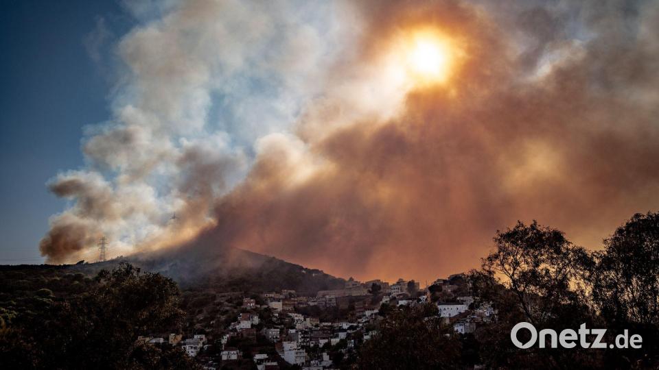 Ein Waldbrand im Collserola-Gebirge lässt Rauch über den Stadtteil Nou Barris in Barcelona ziehen. Bild: Jordi Boixareu/ZUMA Press Wire/dpa