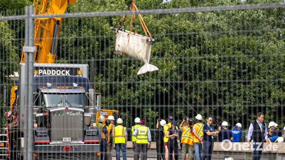 Für den Einsatz wurden Kräne benötigt. Bild: Carlos Osorio/The Canadian Press via AP/dpa