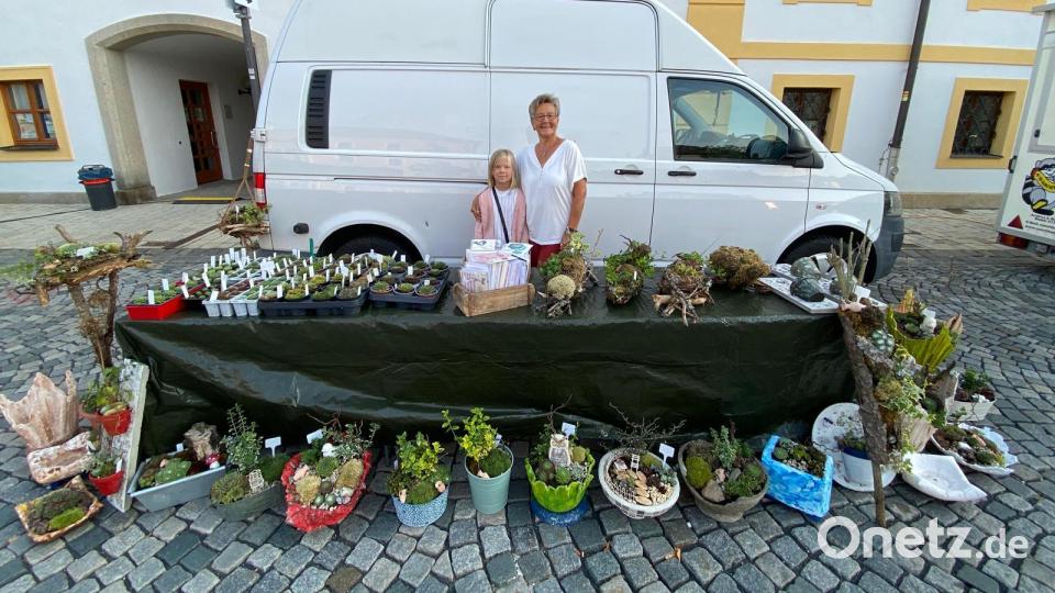 Marianne Patz ist wieder mit verschiedenen Gestecken vertreten. Bild: Marianne Patz