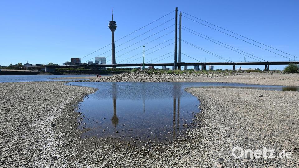 Die Pegelstände am Rhein lagen in diesem Sommer zeitweise auf historisch niedrigem Niveau. Bild: Federico Gambarini/dpa