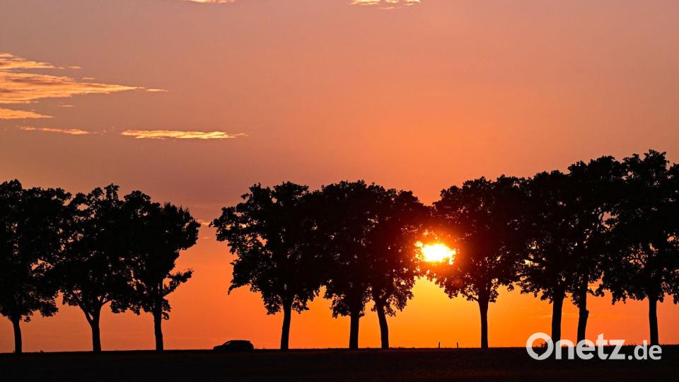 Ein Auto fährt bei Sonnenuntergang über eine Allee im östlichen Brandenburg. Bild: Patrick Pleul/dpa