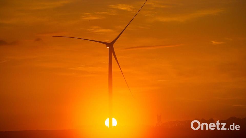 Vorhandene Windkraft war ein Standortfaktor für den Aufbau eines Rechenzentrums in Dummerstorf bei Rostock. (Archivbild) Bild: Jens Büttner/dpa-Zentralbild/dpa