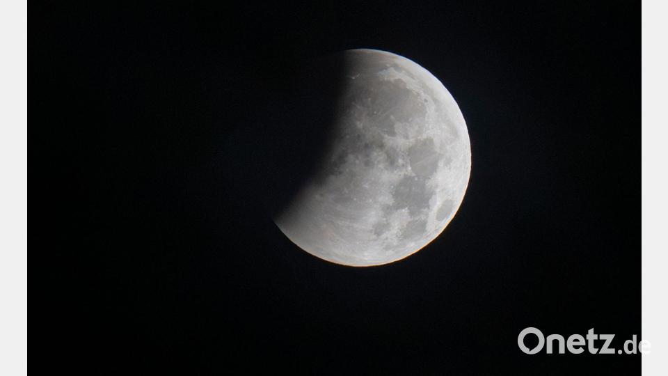 Allzu oft kommt dieses Ereignis nicht vor. Bild: Peter Kneffel/dpa