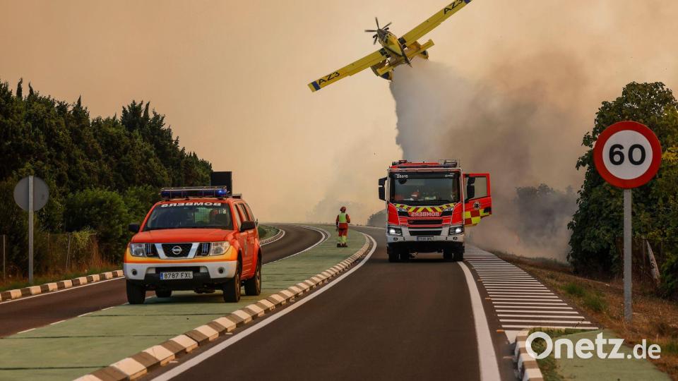 Ein Flugzeug und Löschfahrzeuge bei den Löscharbeiten eines Waldbrands in Gola de Pujol, El Saler, in der autonomen Gemeinschaft Valencia. Bild: Rober Solsona/EUROPA PRESS/dpa
