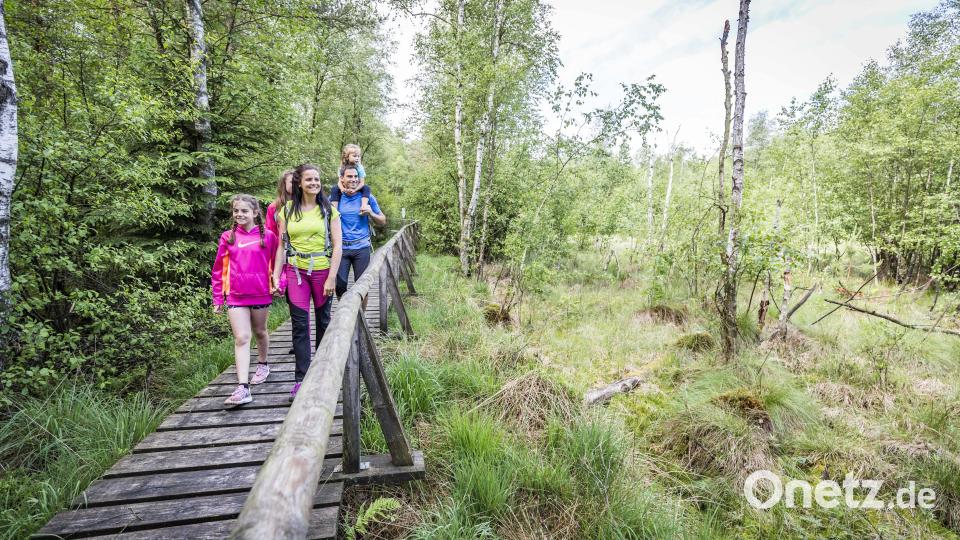 Auf bequemen Bohlenstegen geht es durch das Moor. Bild: Oberpfälzer Wald, Thomas Kujat