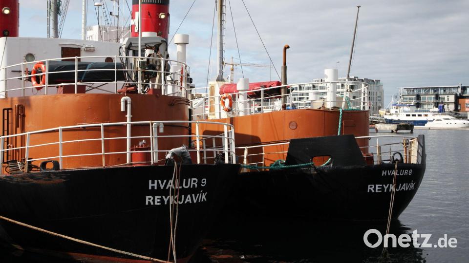 Fischerei und Walfang gehören zu Islands wichtigsten Wirtschaftspfeilern. (Archivbild) Bild: Steffen Trumpf/dpa