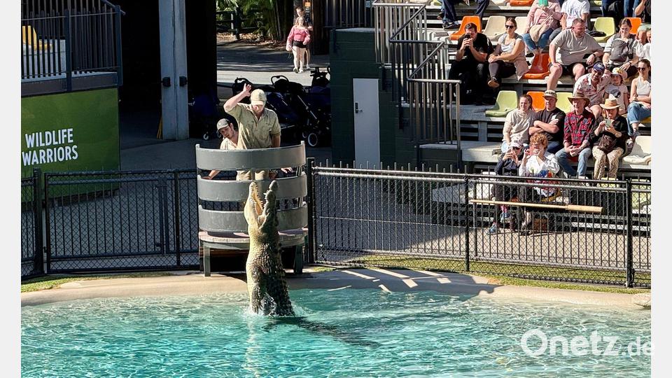 Die Show im „Crocoseum“ ist spektakulär. Bild: Carola Frentzen/dpa