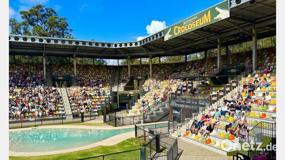 Das „Crocoseum“ bietet Platz für 5.000 Menschen - früher trat Steve Irwin hier noch selber auf. Bild: Carola Frentzen/dpa