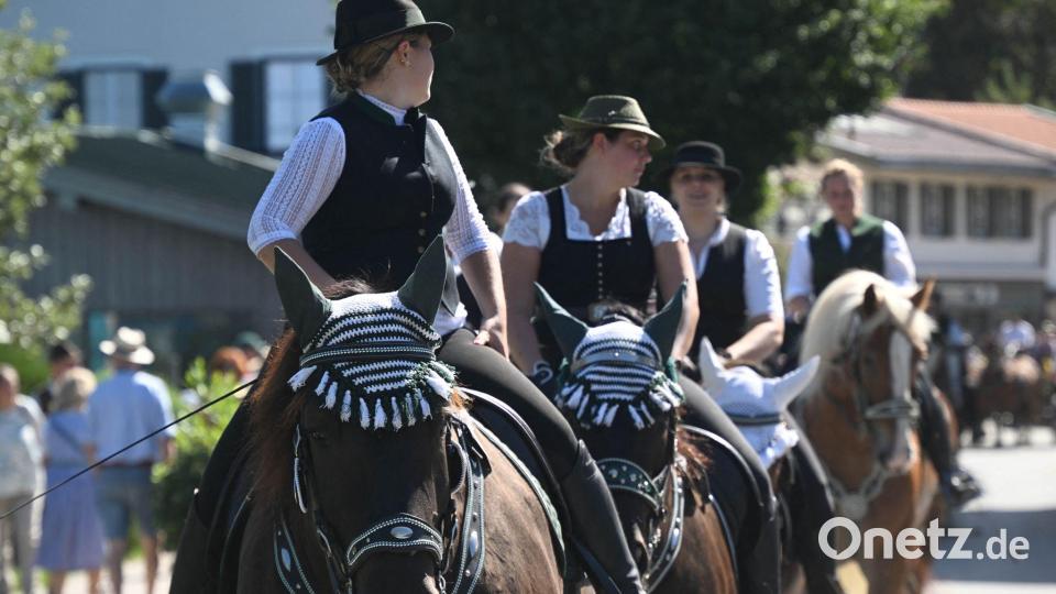 Der Rosstag findet traditionell am letzten Sonntag im August statt. Bild: Felix Hörhager/dpa