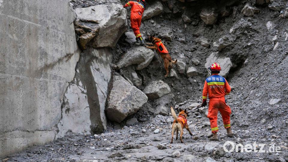 Tibet: Spürhunde im Schlamm – Rettungskräfte suchen in Gyirong nach der Sturzflut nach Opfern Bild: Jigme Dorje/Xinhua via AP/dpa