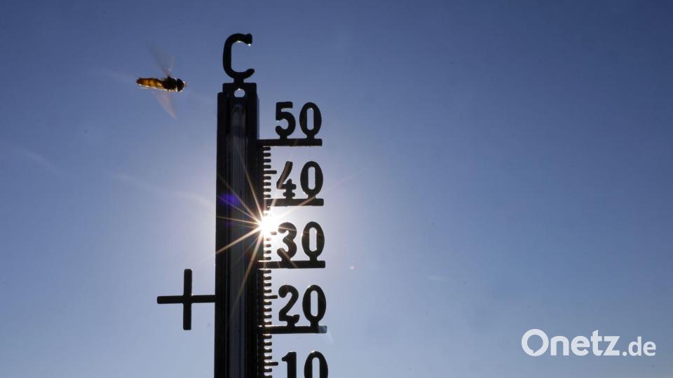 Im Sommer gab es teils Temperaturen über 40 Grad. (Symbolbild) Bild: Thomas Warnack/dpa