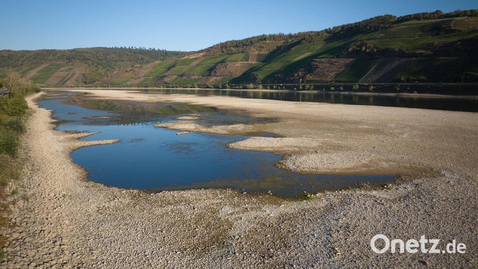Verbrannte Landschaft und ausgetrocknete Flüsse bestimmten das Landschaftsbild in diesem Sommer. (Archivbild) Bild: Thomas Frey/dpa