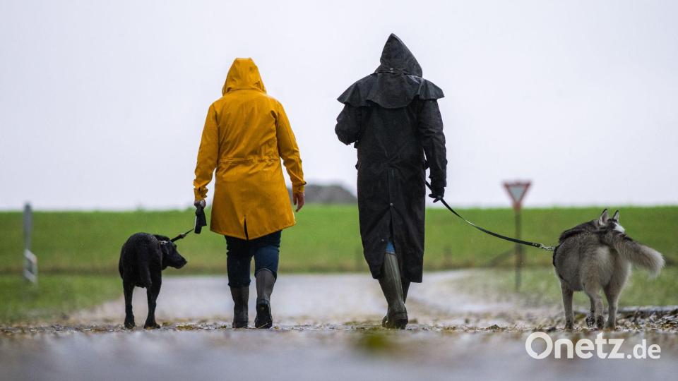 Der Herbst ist wieder die Zeit für Mäntel und Regenjacken Bild: Mohssen Assanimoghaddam/dpa
