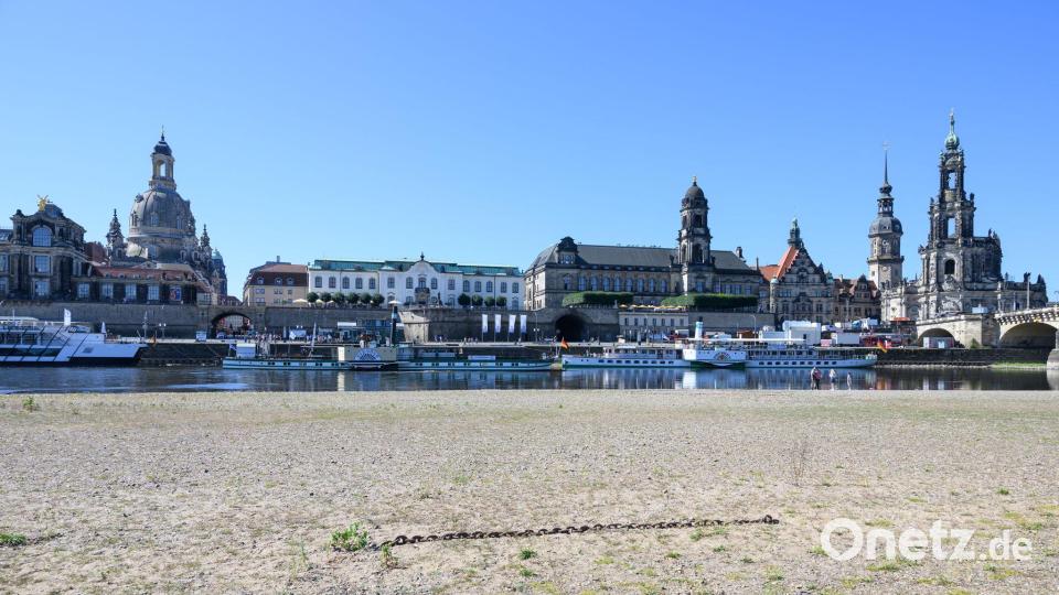 Ausgetrocknetes Ufer - auch in Dresden. (Archivbild) Bild: Robert Michael/dpa