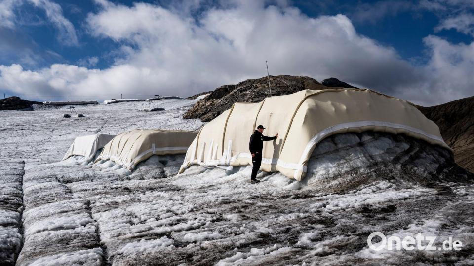 Projekt „Keep It Wool“: Schafwolle zum Schutz von Gletschern Bild: Jean-Christophe Bott/KEYSTONE/dpa