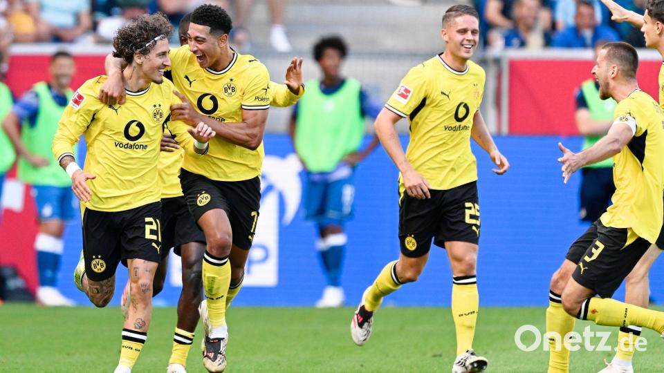 Dortmund bejubelt den 2:2-Ausgleich. Bild: Uwe Anspach/dpa