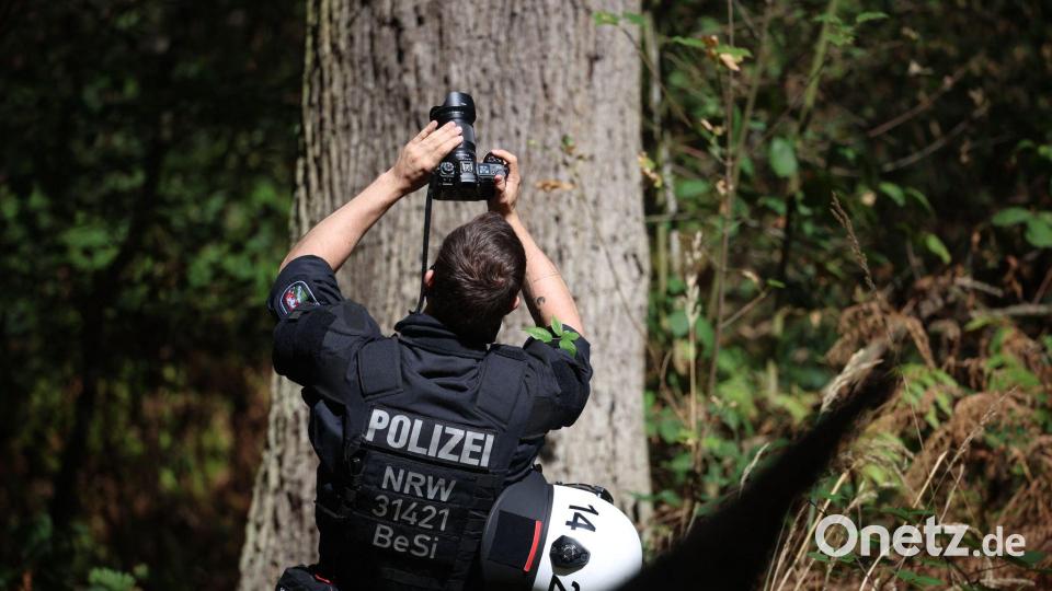 Auch mögliche Verstecke auf Bäumen werden geprüft. Bild: Christoph Reichwein/dpa