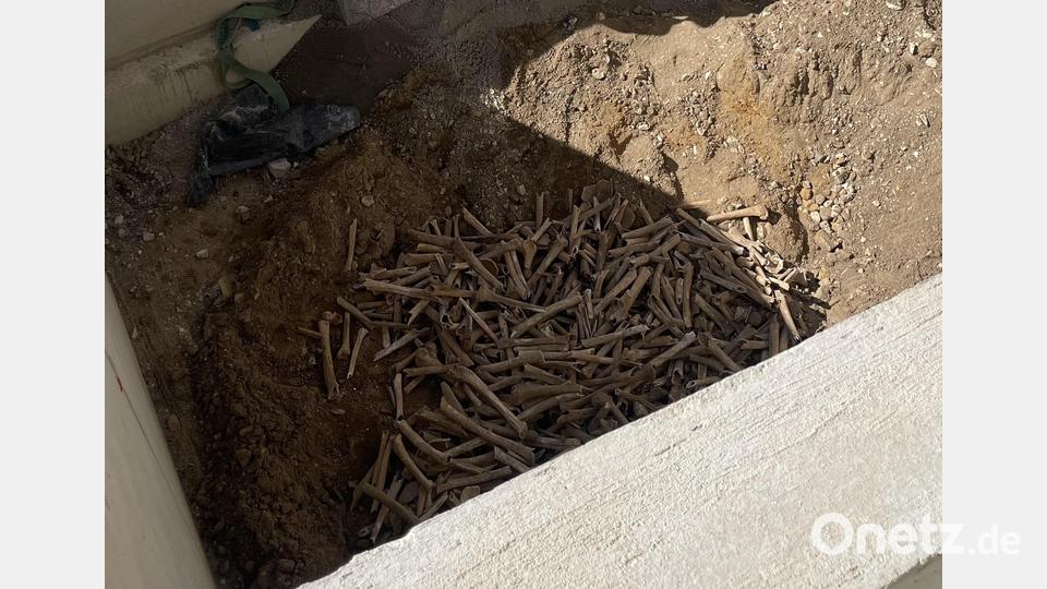 Diese Gebeine wurden nun erneut betattet. Bild: Christian Kalis