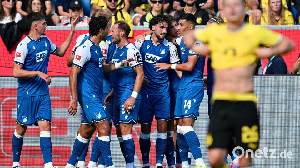 Hoffenheim jubelt, BVB-Profi Ryerson ist frustriert. Bild: Uwe Anspach/dpa