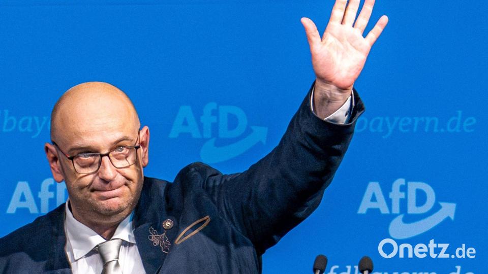 Protschka feiert den Wahlsieg der AfD in Sachsen-Anhalt. (Archivbild) Bild: Armin Weigel/dpa