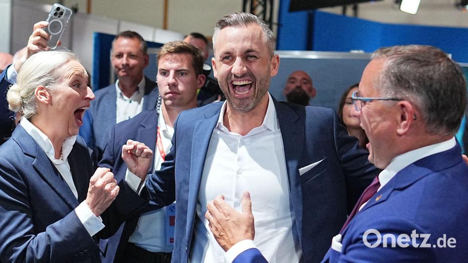 Jubel bei der AFD Bild: Michael Kappeler/dpa