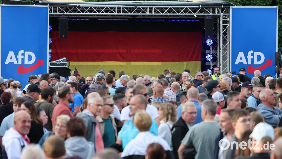 AfD in Sachsen-Anhalt: „Dramatisch falsche Botschaft“ (Archivbild) Bild: Jan Woitas/dpa
