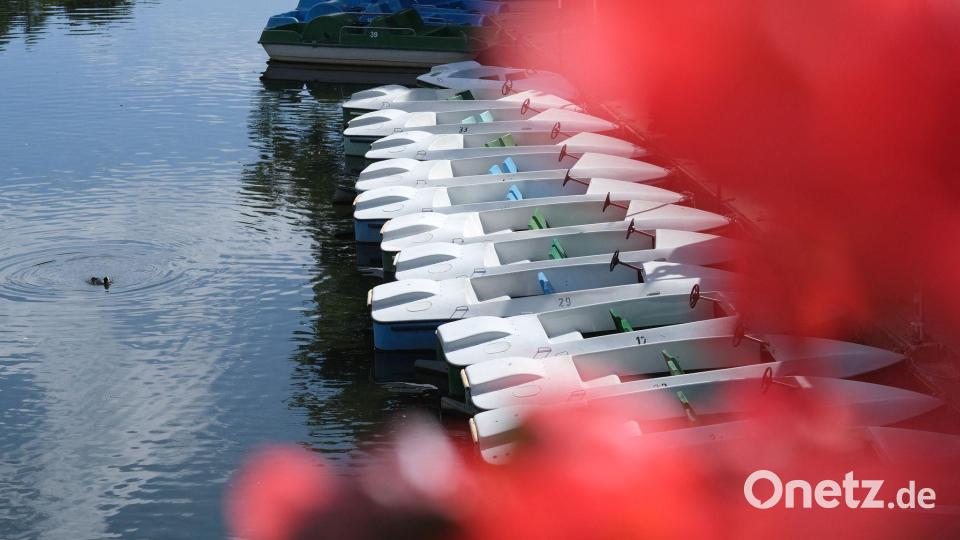 Spätsommer am Neckar Bild: Bernd Weißbrod/dpa