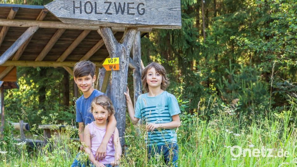 Auf dem Holzweg bei Eschenbach gibt es viel zu erleben. Bild: Oberpfälzer Wald, Norbert Eimer