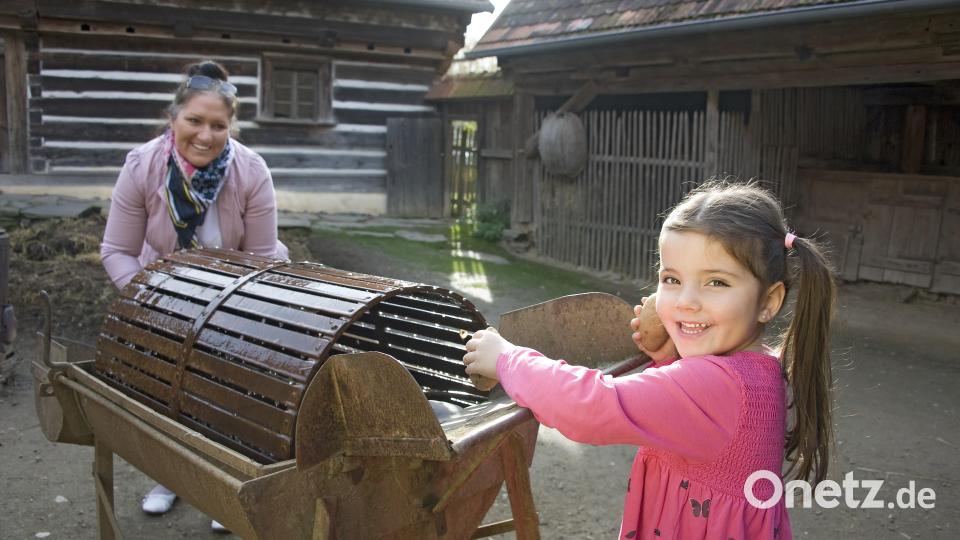 Am kommenden Sonntag dreht sich im Freilandmuseum Oberpfalz alles um die Kartoffel. Bild: Freilandmuseum Oberpfalz